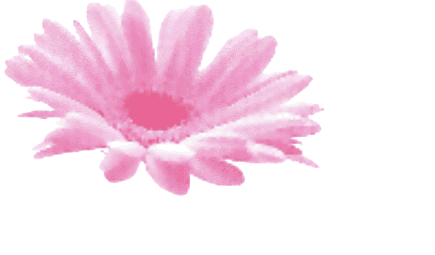 Istituto di Estetica Margherita